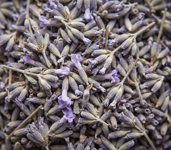 Grapefruit Seed Oil